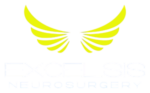 excelsis logo 300x186 edited