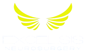 excelsis logo 300x186 edited